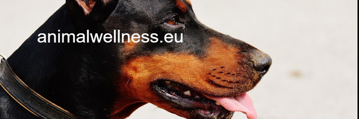 animalwellness.eu